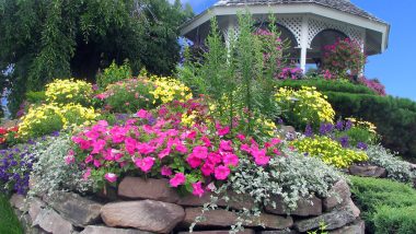 Guzman's Garden Centers Newsletter