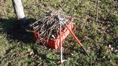 Tools for pruning trees