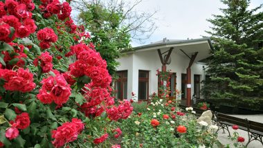 Roses for the Southwest