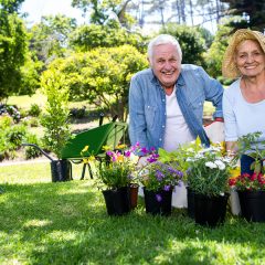 Portrait of happy senior couple gardening in the park on a sunny