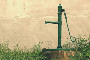 Best practices for watering your garden