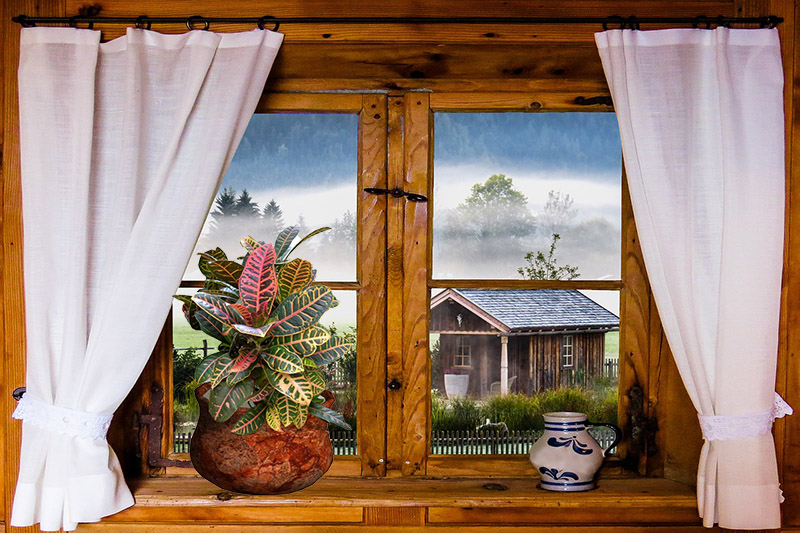 crotononwindow Guzmans Garden Centers Croton Plant in container