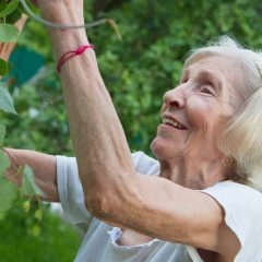 Gardening For Older Generations