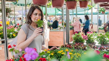 How to pick healthy plants