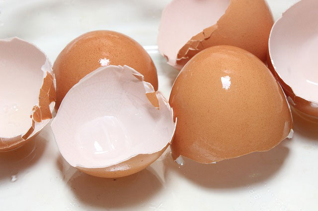 Eggshells 