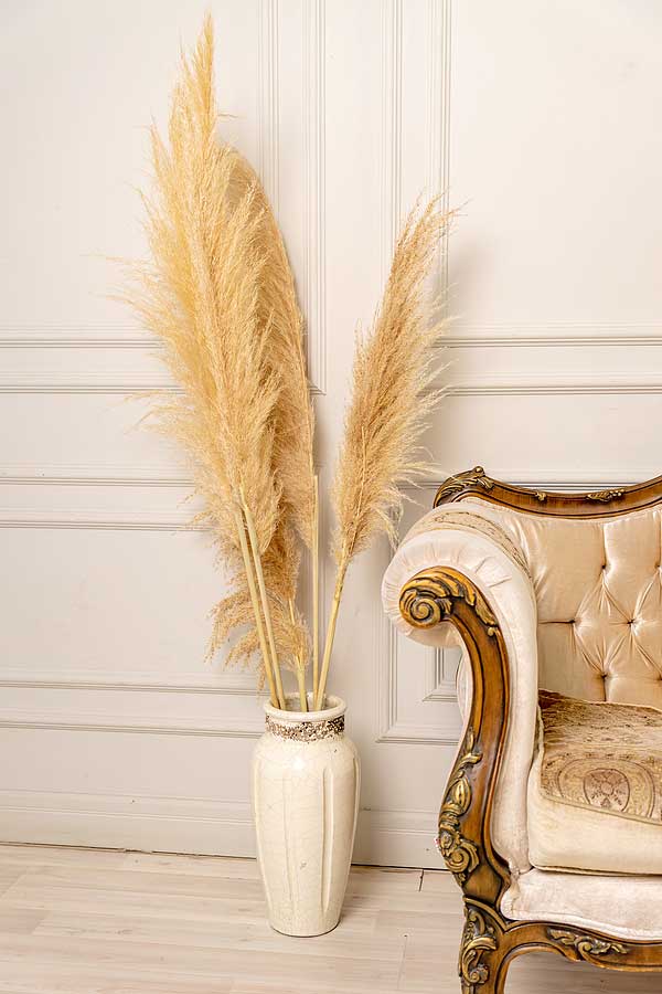Pampas Grass Plumes in Vase