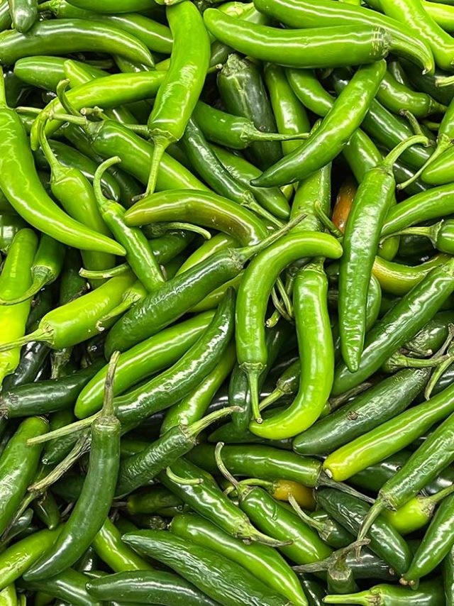 Growing Chili Peppers in pots