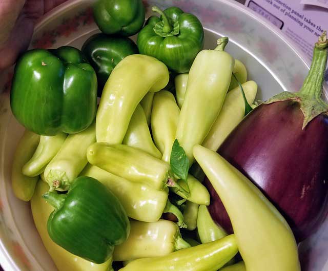 Banana Peppers and Bell Peppers
