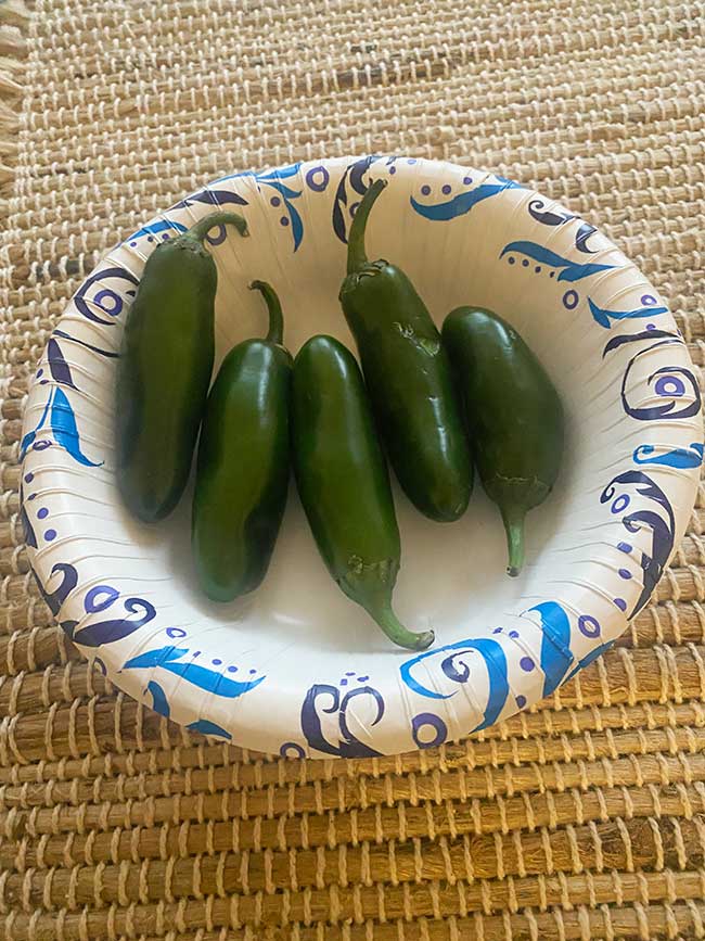 Grow Your Own Chile Peppers