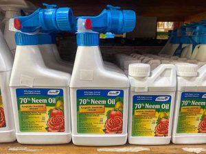 Neem Oil List of Organic Pesticides for Pest Control