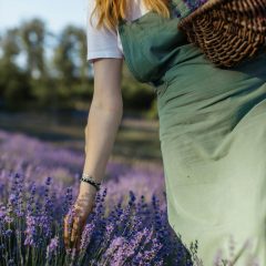 Amazing low water plants