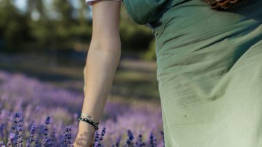 Amazing low water plants