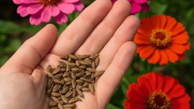 How to Collects seeds from flowers