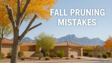 Do not prune trees in fall
