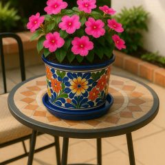 How to care for iimpatiens