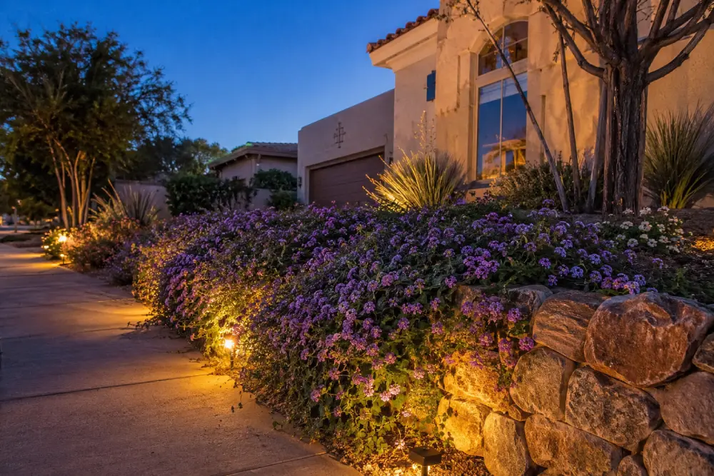 Fall color purple trailing lantana evening How to Add Fall Color