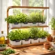 Start a small indoor garden