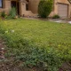 Desert-style front yard with a green lawn, pebble border, and yellow flowers in the foreground, beige stucco house in the background.