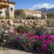What to plant in September in Las Cruces