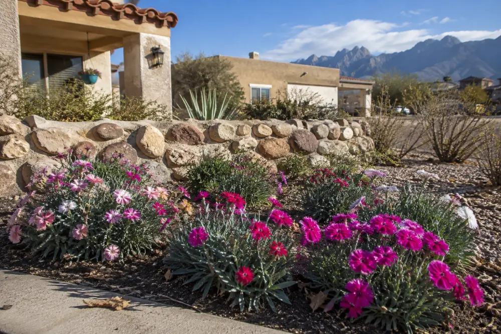 What to Plant in September in Las Cruces What to plant in Las Cruces, NM.