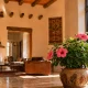 7 Indoor Plants that need Bright Light
