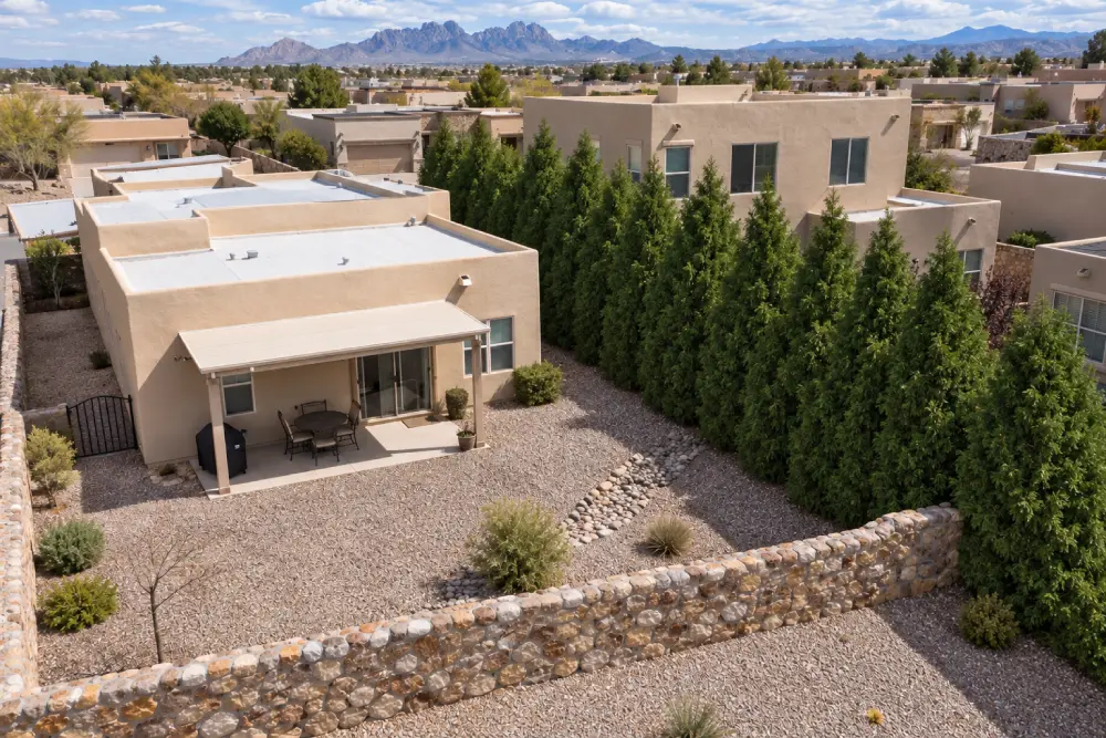 Wall of Arborvitae trees Arborvitae Trees for the Southwest
