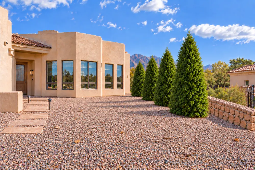 Green Giant Arborvitae Arborvitae Trees for the Southwest