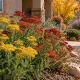 10 Flowering Plants Not to Cut Back in Fall