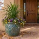 What to plant now fall color